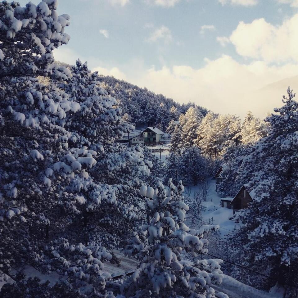 Hotel Snjezna Kuca - Nature Park Of Bosnia Herzegovina Padezina Exterior foto